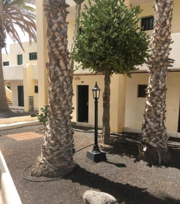 Suri Costa Teguise Daire Dış mekan fotoğraf