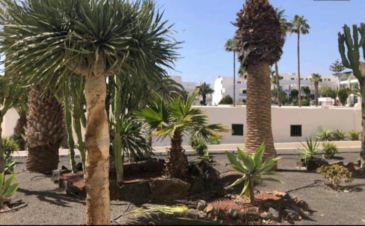 Suri Costa Teguise Daire Dış mekan fotoğraf